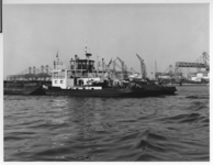 VII-529-49-04-02 Duwboot Hercules in de Waalhaven.