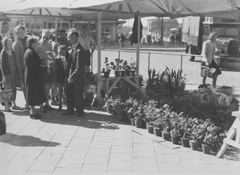 XIV-115-03 Bloemenmarkt op de Coolsingel voor het Erasmushuis tijdens Pinksterdrie.