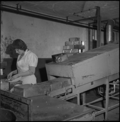 12621 Een medewerkster van Banketfabriek Viool in de Van Speykstraat pakt producten in.