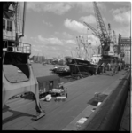 14771 Bedrijvigheid aan de kade van de Rijnhaven Zuidzijde met kranen, een spoorlijn, aangelegde schepen en ...