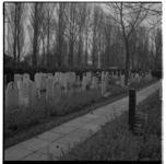 18744 Zicht op graven op de Algemene Begraafplaats Crooswijk aan de Kerkhoflaan, met op de achtergrond hoge bomen.