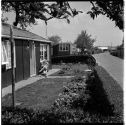 19108 Enkele noodwoningen aan de Charloisse Lagedijk. In de tuin vooraan zit een vrouw de krant te lezen met een kind ...