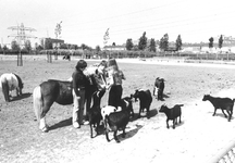 2004-6854 Kinderen aaien een pony en geiten in een kinderboerderij aan de Maeterlinckweg.