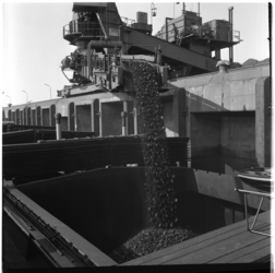 21835 Het laden van kolen in een van de schepen bij Müller-Hanna's overslagbedrijf aan de Botlekweg.