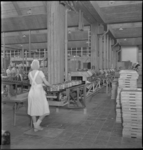 3289 Interieur van Van Melle's Biscuits- & Toffeefabrieken N.V. aan de Olympiaweg met medewerksters aan de productielijn.