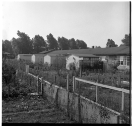 36178 Zicht op de achterzijde van enkele woningen in het wijkje Landzicht bij Overschie. Op de voorgrond enkele tuinen.