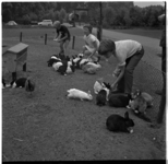 38408 Scholieren bij de konijnen tijdens hun schoolreisje aan kinderboerderij 'De Kraal' aan het Langepad in het ...