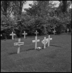 5306 Graven van de RAF-piloten op de Algemene Begraafplaats Crooswijk aan de Kerkhoflaan. Op de graven zijn ook de ...
