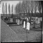 63004 De Openbare begraafplaats van Pernis aan de Ring.