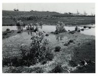 1972-1498 Bloeiende planten op braakliggend terrein ten zuiden van de Vondelingenweg, met op de achtergrond kranen van ...