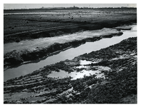 1972-965 Zicht op het opgespoten terrein vanaf de persdijk aan de achterzijde van het gemaal van Oost-Abtspolder, met ...