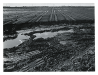 1972-968 Overzicht van de opgespoten Oost-Abtspolder met de eerste begroeiing en op de voorgrond enkele plassen. Uit ...