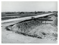 1976-700 Persbuizen bij de persdijk langs de Poldervaart, in het opgespoten terrein in de voormalige Oost-Abtspolder. ...