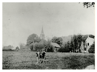 1980-1698 Overzicht van Hillegersberg met op de voorgrond een weidelandschap met koeien en verderop de dorpskerk ...