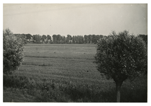 II-196 Overzicht van de voormalige Deijffelbroeksepolder onder Pernis, vanaf de Heysedijk. Uit het westen.