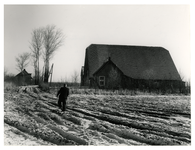 XXXI-597-135-12-01 Overzicht van een boerderij en op de voorgrond een besneeuwd weiland in de polder Zeehondenplaat op ...