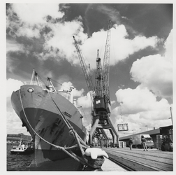 1988-1428 Kranen bij schip Pegasus op fruitterminal Seaport Terminals B.V. aan de Merwehaven. Uit een serie van 40 ...