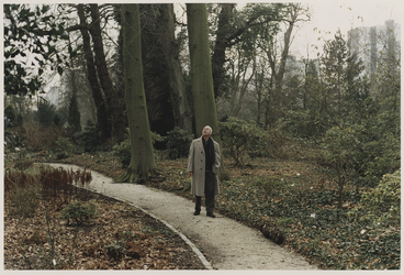 2000-159 Man wandelt door Arboretum Trompenburg. Uit een serie van 23 foto's over het Arboretum Trompenburg.