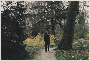 2000-160 Man wandelt door Arboretum Trompenburg. Uit een serie van 23 foto's over het Arboretum Trompenburg.