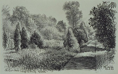 1985-1611 Een laan in Arboretum Trompenburg aan de Honingerdijk.