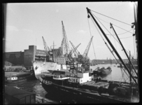 L-145 Zee- en binnenvaartschepen liggen in de Rijnhaven. Op de achtergrond een veemgebouw van N.V. ...