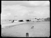 L-200 Spoorviaduct over de nieuwe Hoofdweg van Rotterdam naar Gouda. Op de voorgrond een weiland met koeien.