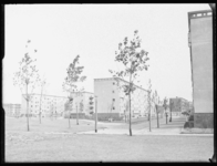 L-230 Nieuwbouw flatwoningen aan de Aalkeetstraat. Het pad door het park loopt door naar de Abtsweg. Op de achtergrond ...