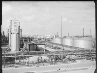 L-387 Installatie van de olieraffinaderij van de Bataafsche Petroleum Maatschappij (BPM) aan de Vondelingenweg in ...
