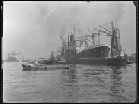 L-454 Vrachtschepen liggen afgemeerd in de Maashaven en worden met elevatoren gelost. Het schip rechts is de 'Georgios ...