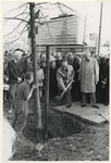 1967-449 Wethouder J. Worst plant de eerste boom voor de groenstreek aan de noordzijde van het Weena. Rechts staat ...