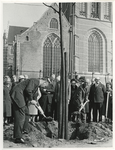1968-866 Het planten van de laatste linde op de Sint-Laurensplaats door wethouder J. Worst (rechts) en P. Steinz ...