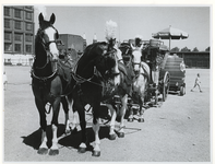 1970-2630 Vier paarden met een koets en biertap van de firma Heineken staat klaar bij de Hugo de Grootstraat op het ...