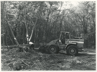 1970-2669 Het kappen van bomen in het Staelduinse Bos.
