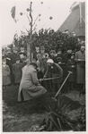 1970-465 Het planten van een gedenkboom en zanghulde in Schiebroek ter gelegenheid van het huwelijk van prinses Juliana.