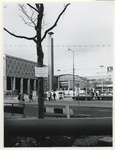 1970-522 Protest tegen de beschadiging van een boom op de Coolsingel tijdens de voorbereidingen van de manifestatie ...