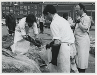1972-683 De ontleding van de op 7 mei 1972 in de Prinses Margriethaven gestrande blauwe vinvis (vrouwtje van acht meter ...