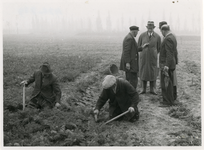 1972-739 De oogst van de op de puinhopen gekweekte producten. Midden: burgemeester Muller.