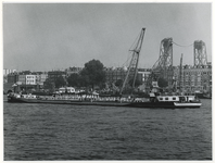 1973-1151 Vlootschouw van binnenvaartschepen ten gevolge van het regeringsjubileum van koningin Juliana.
