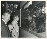 1974-1789 Ingebruikneming van aquaria in Diergaarde Blijdorp.