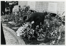 1975-466 Een man legt een krans neer bij oorlogsgraven op de begraafplaats Hofwijk van zes soldaten die zijn gesneuveld ...