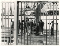 1976-1839 Stakers binnen het hek.