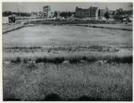 1977-3000 In de binnenstad van Rotterdam zijn graanvelden aangelegd om de voedselschaarste van tijdens de laatste ...