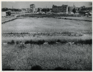 1977-3000 In de binnenstad van Rotterdam zijn graanvelden aangelegd om de voedselschaarste van tijdens de laatste ...