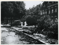 1977-3152 Een van de Duitse verdedigingsmaatregelen was het kappen van bomen met het doel om in weilanden palen tegen ...