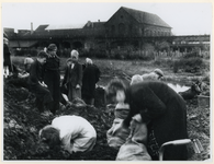 1977-3300 Het verzamelen van kolen op een terrein bij de gasfabriek Kralingen, vanwege de brandstofschaarste tijdens de ...