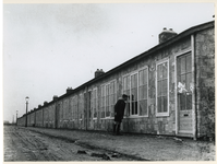 1977-3389 Het gereedmaken van noodwoningen in het nooddorp, het Brabants Dorp, op Zuidplein om ontheemde Rotterdammers, ...