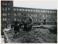 1977-3633 Op het Mathenesserplein wordt een schuilkelder gesloopt om het hout, vanwege de brandstofschaarste tijdens de ...