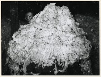 1977-3787 Een oudere man in een spinnerij achter een stapel wol tijdens de bezettingsjaren in de Tweede Wereldoorlog.