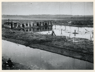 1977-3834 Een door de Duitsers geïnundeerd (opzettelijke onderwaterzetting) gebied in IJsselmonde is weer drooggevallen ...