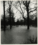 1977-3864 Overstromingen in Rotterdam tijdens de watersnoodramp van 1953 in Zeeland en delen van Zuid-Holland.